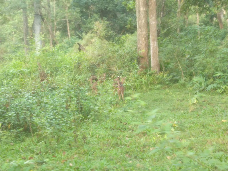 Malandur - Malandur, Byaravalli, Karnataka 577130, India