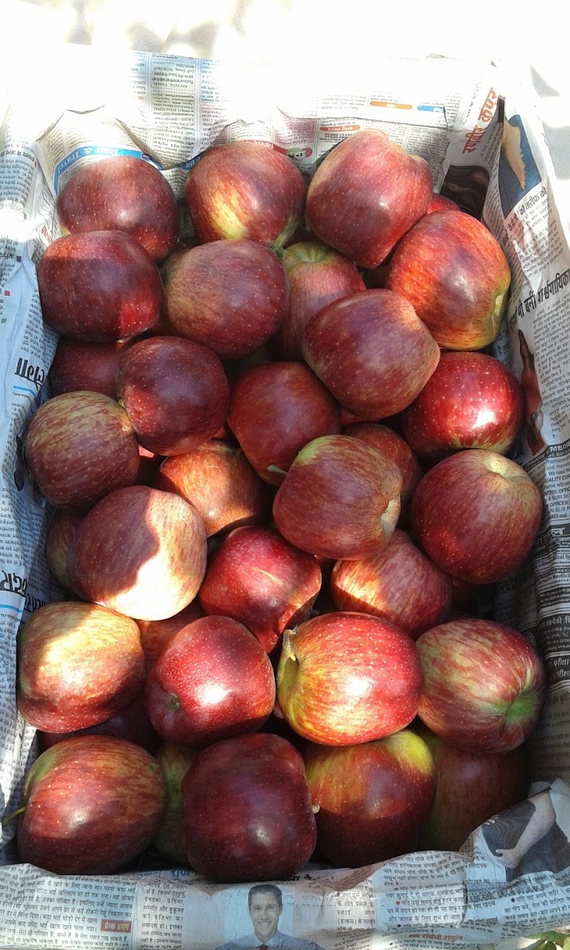 Krishana apple orchards - Krishana apple orchards, 35X9+MQ3, Nathan, Himachal Pradesh 175130, India