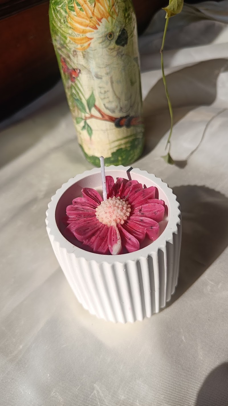 Candle Delight ( Dinkar's Art Studio) - Candle Delight ( Dinkar's Art Studio) zone-03 road no -08, C-1, Adarsh Nagar, Durg, Chhattisgarh 491001, India