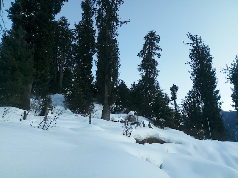 Kiran Home Stay - Kiran Home Stay, Shoja, Himachal Pradesh 175123, India