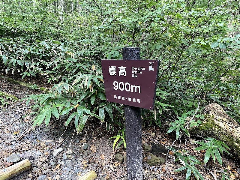 Daisen - Daisen Daisen, Saihaku District, Tottori 689-3318, Japan