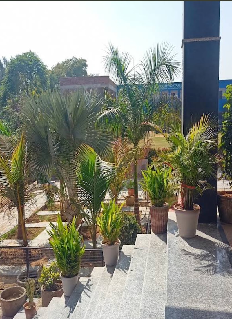 Pratap College - Pratap College, Dayal Bagh, Shyampur bhuhariya, Beelwa, Sukhdeopura Nohara, Vatika, Shyampura Buhariya, Rajasthan 303905, India