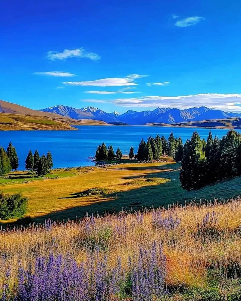 Lake Tekapo - Lake Tekapo Lake Tekapo, Canterbury Region 7999, New Zealand