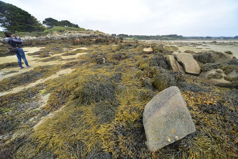 The beach of De Landrellec - The beach of De Landrellec, 22560 Pleumeur-Bodou, France