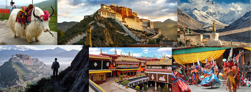 WTravels India Pvt. Ltd - WTravels India Pvt. Ltd 15, Local Shopping Centre, Madangir, Madangir Village, Pushp Vihar, New Delhi, Delhi 110062, India