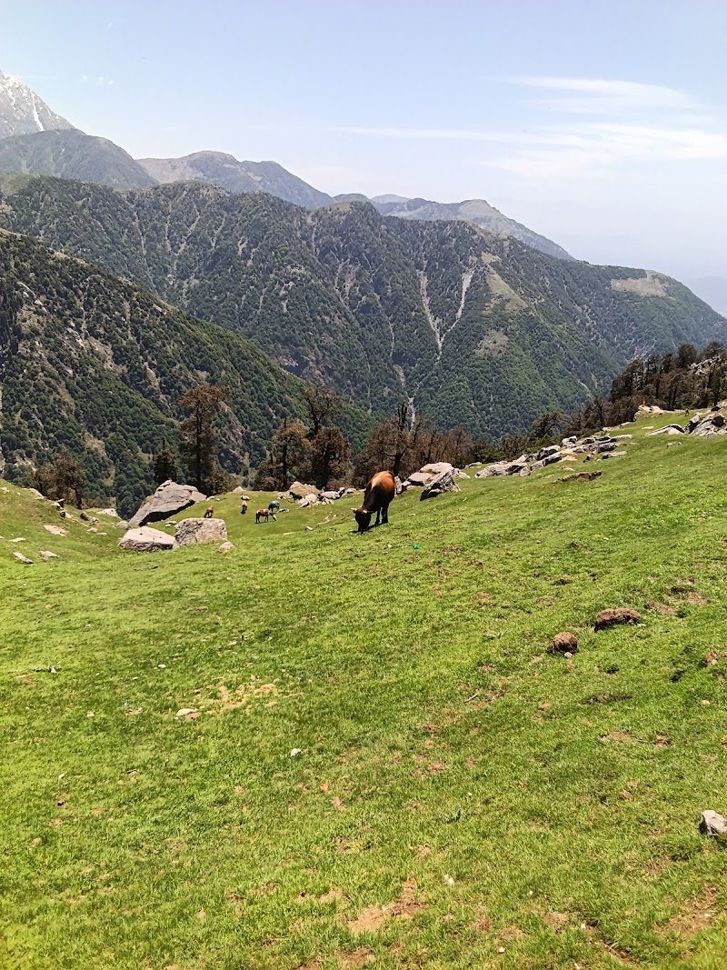 Him View Guesthouse - Him View Guesthouse 68PH+444, Jogiwara Rd, McLeod Ganj, Dharamshala, Himachal Pradesh 176215, India