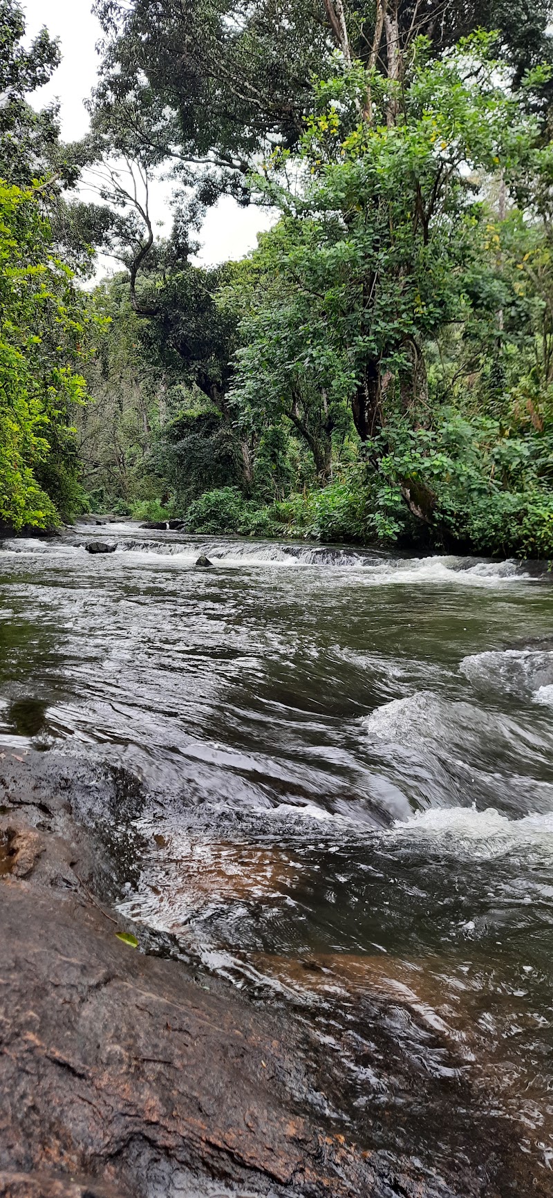 The spice garden (Umesh) - The spice garden (Umesh), Munnar - Kumily Hwy, Pooppara, Keralam 685619, India