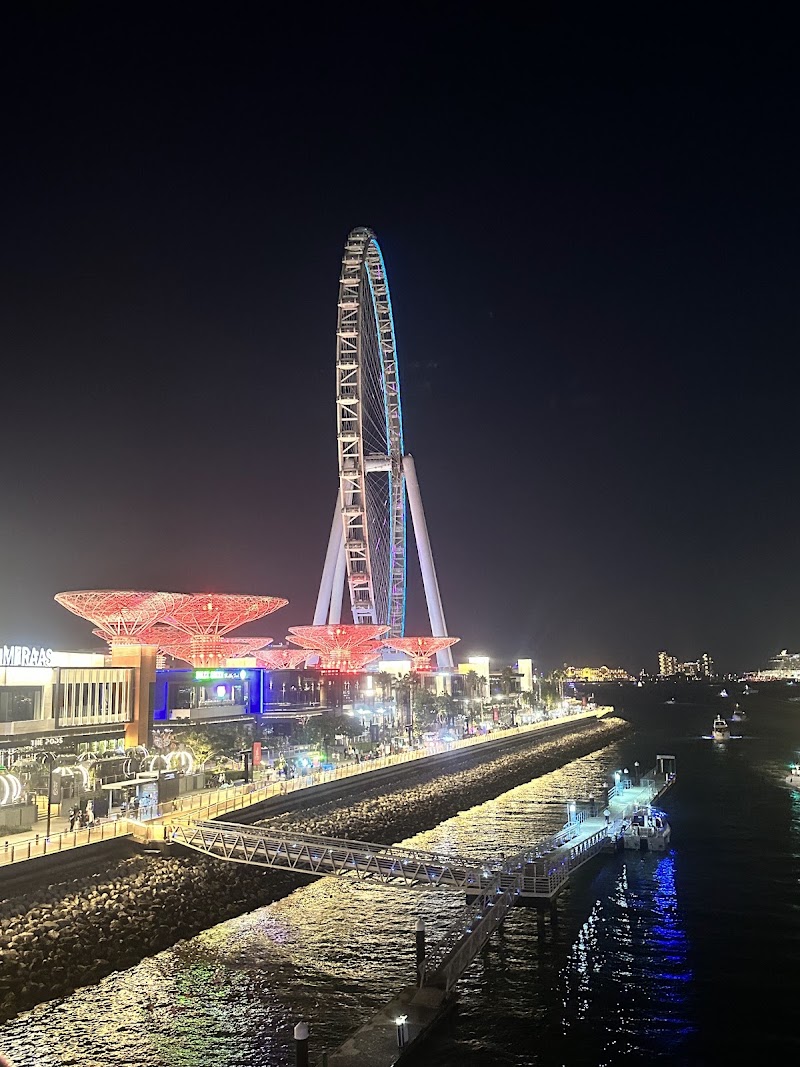 Bluewaters - Bluewaters 673C+W8M - Al Wasl - Dubai - United Arab Emirates