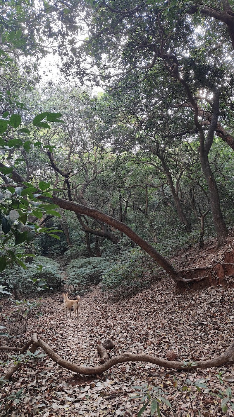 Garbett waterfall point - Garbett waterfall point X7VM+4RR, Matheran, Maharashtra 410102, India