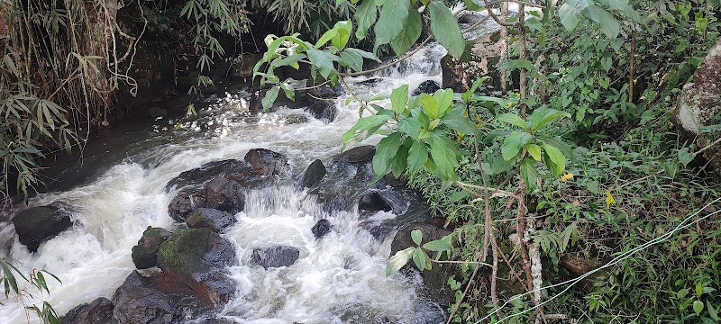 Power House Waterfalls - Power House Waterfalls 23F4+H4W, Muthirappuzhayar, Aadit, Kerala 685565, India