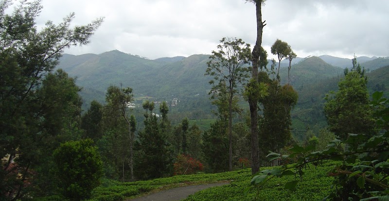 Trilan Cottages - Tea Estate - Trilan Cottages - Tea Estate, CVM6+5W, Kannerimukku Hatti, Kotagiri, Tamil Nadu 643217, India