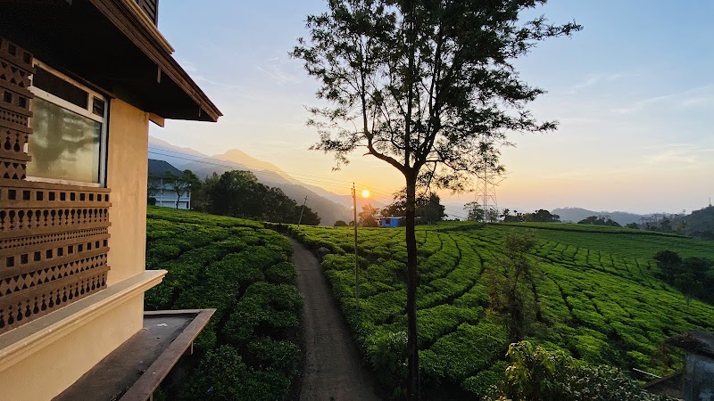Gruenberg Tea Plantation Haus - Gruenberg Tea Plantation Haus Power house Road, Dobipalam, Chithirapuram, Kerala 685565, India