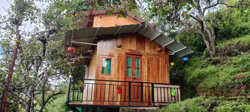 Wooden cabin 3.0