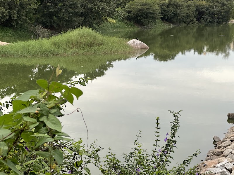 Yelachenahalli Annayyappana Kere - Yelachenahalli Annayyappana Kere Yelachenahalli Kere, Anuradha Industrial Estate, Yelachenahalli, Kumaraswamy Layout, Bengaluru, Karnataka 560111, India