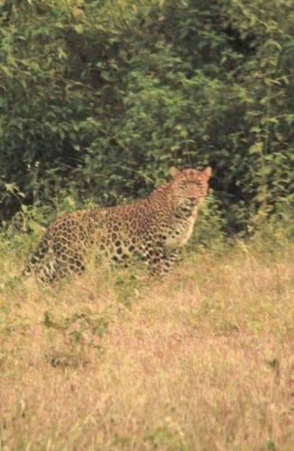 Betla - Betla, Jharkhand, India