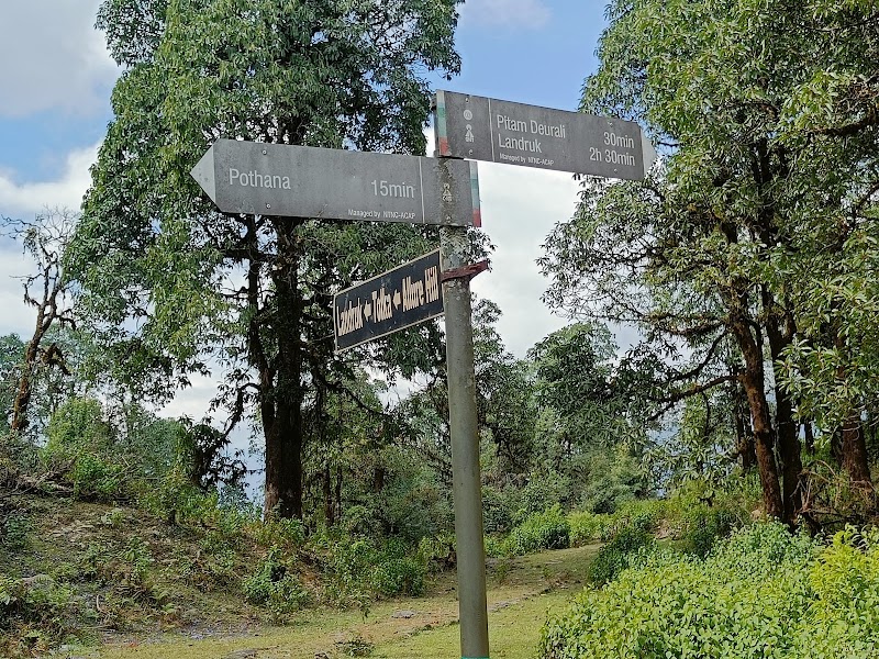 pittam deurali - pittam deurali Nepal, Lumle, Annapurna-7