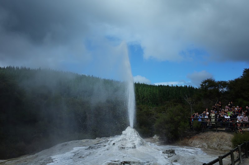 Lady Knox Geyser - Lady Knox Geyser 201 Waiotapu Loop Rd, Rotorua, Waiotapu 3073, New Zealand
