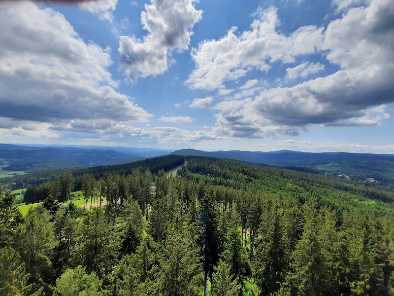 Treetop Trail Lipno - Treetop Trail Lipno, Lipno nad Vltavou 307, 382 78 Lipno nad Vltavou, Czechia