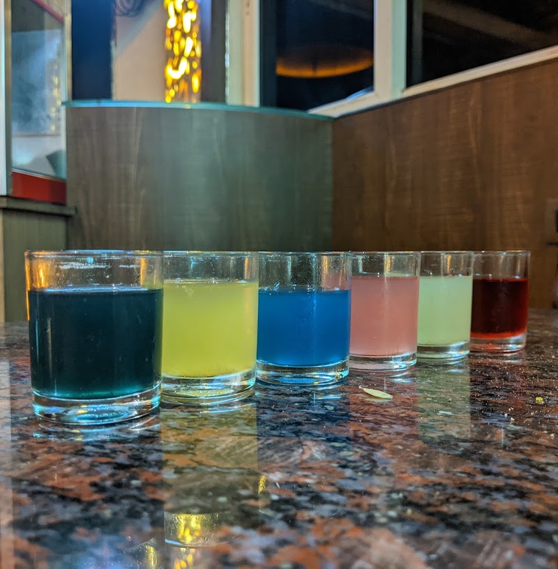 Hotel Sangam - Hotel Sangam 24, Mannar St, Asoka Nagar, CIT Nagar, Chennai, Tamil Nadu 600017, India