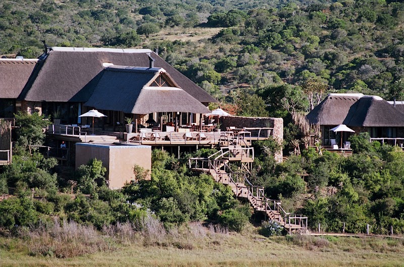 Pumba Private Game Reserve - Pumba Private Game Reserve, Highlands, Makana Municipality, 6140, South Africa