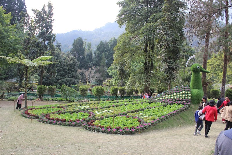 Saramsa Garden - Saramsa Garden 7HGV+RWX, Sikkim 737135, India