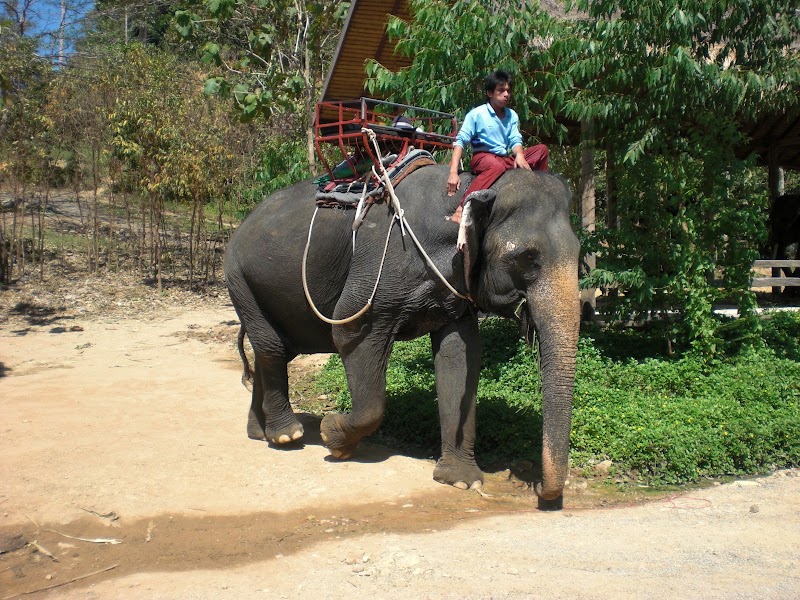 Ko Chang - Ko Chang District, Trat 23170, Thailand