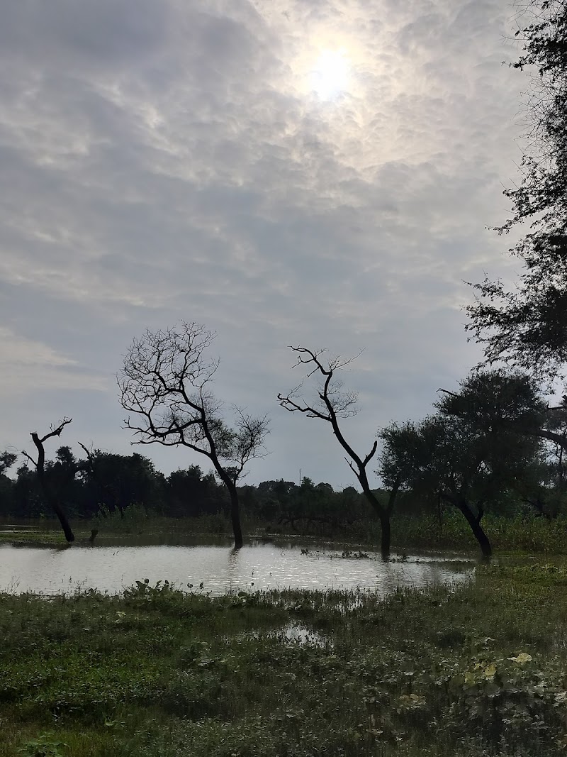 DeepSavi River End picnic spot - DeepSavi River End picnic spot 5QJP+FWR, Naya Raipur Marg, Sector 13, Kayabandha, Atal Nagar-Nava Raipur, Chhattisgarh 492101, India