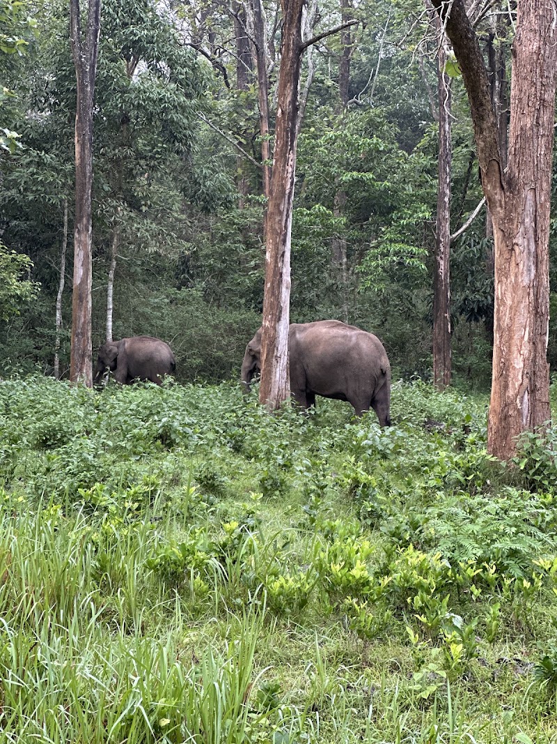 Nagarahole Tiger Reserve - Nagarahole Tiger Reserve, Karnataka, India