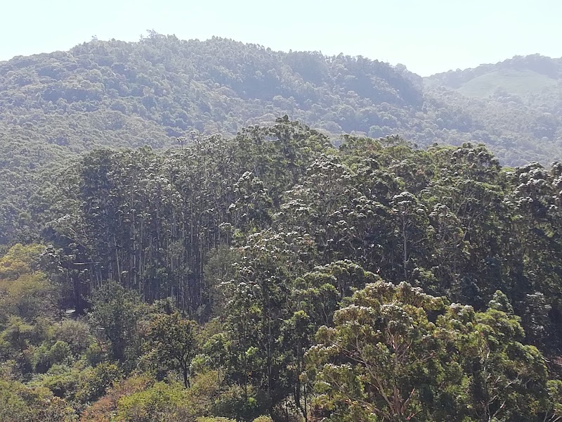 Coonoor Hill Station - Coonoor Hill Station 8QWV+2WJ, Upper Bazaar St, Kumaran Nagar, Coonoor, Tamil Nadu 643102, India