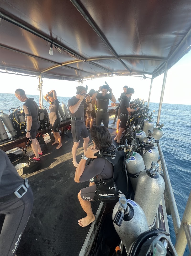 FIFTY SIX DIVE - FIFTY SIX DIVE, 10, Sairee Beach, 4, Tambon Ko Tao, Koh Tao, Chang Wat Surat Thani 84360, Thailand