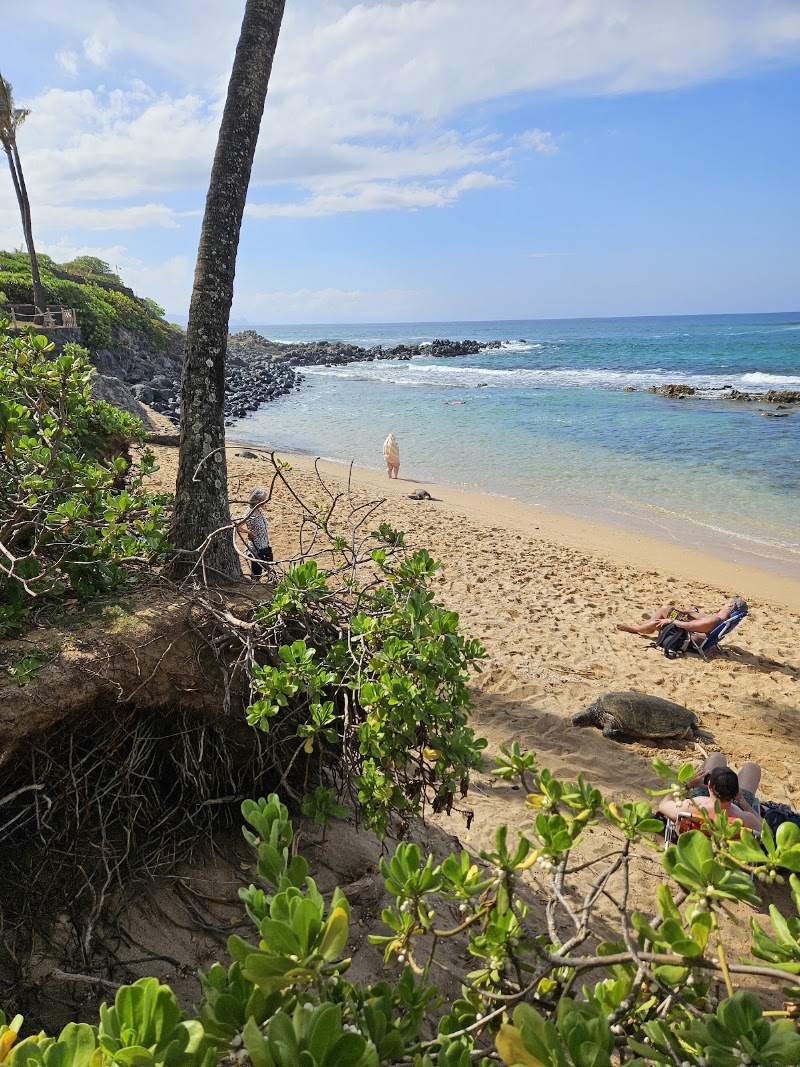 Mama's Fish House - Mama's Fish House 799 Poho Pl, Paia, HI 96779, USA