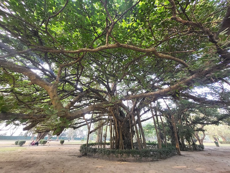Elliot Park - Elliot Park Jawaharlal Nehru Rd, Maidan, Kolkata, West Bengal 700021, India