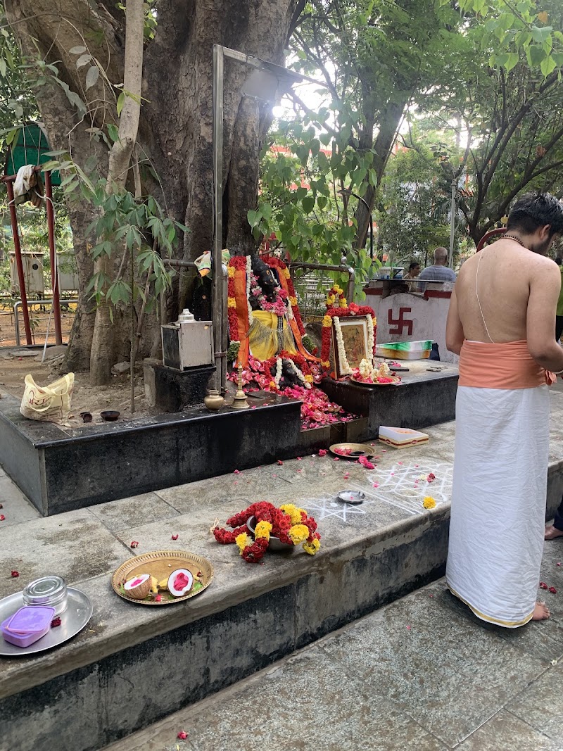 Jeeva Park - Jeeva Park 3/2, Arul Ammal Street, T. Nagar, Chennai, Tamil Nadu 600017, India