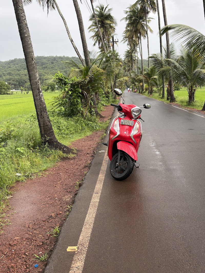 Parra coconut tree 🌴 road - Parra coconut tree 🌴 road, HQHJ+4RJ, St. Annes Church Rd, Parra, Goa 403510, India