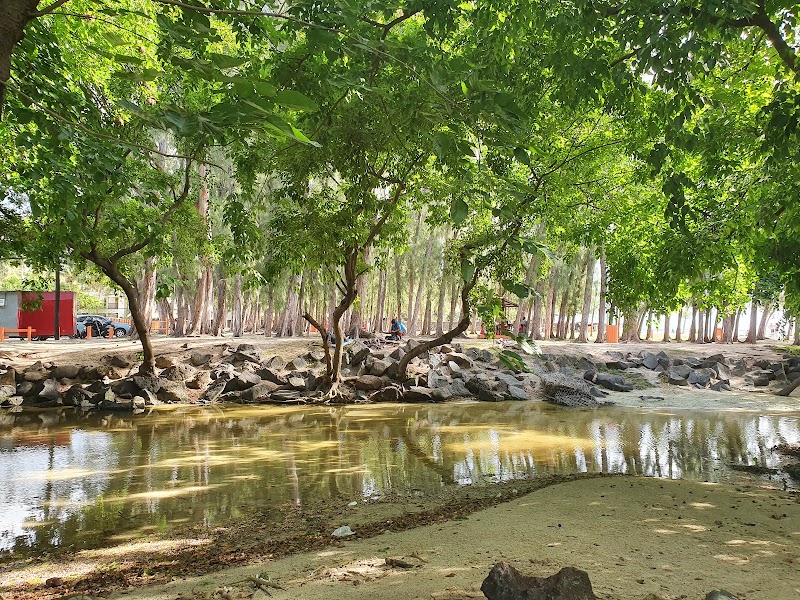 Wolmar Public Beach - Wolmar Public Beach, Flic en Flac, Mauritius
