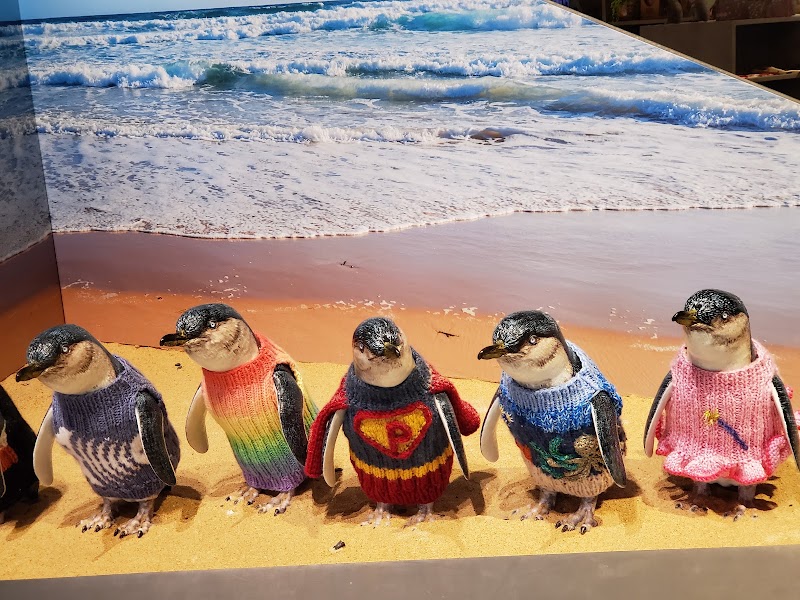 Penguin Parade - Penguin Parade, 1019 Ventnor Rd, Summerlands VIC 3922, Australia