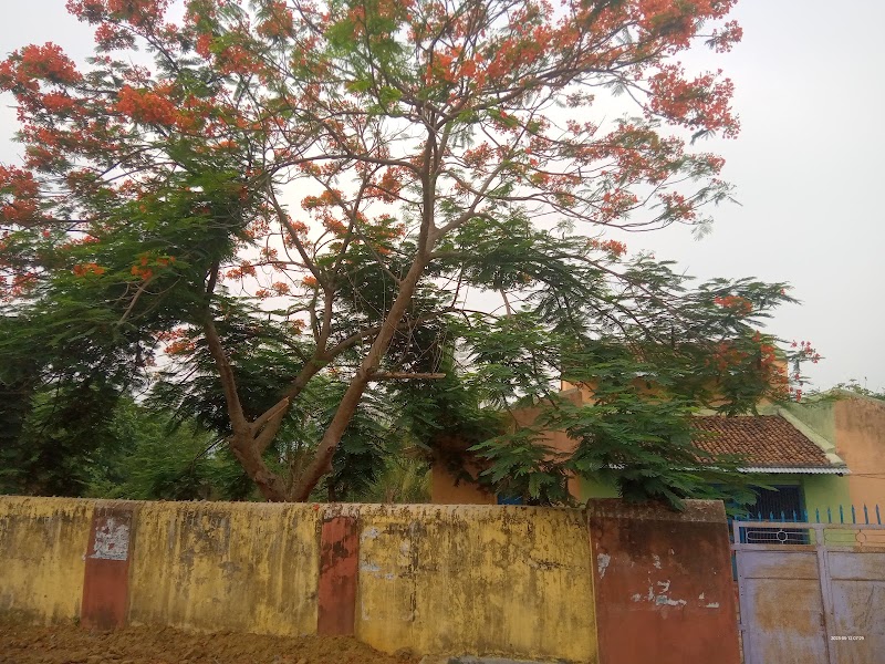 Malgaon GP - Malgaon GP, W4H5+3HX, Bhawanipatna, Karlakot, Odisha 766003, India