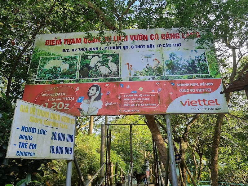 Bang Lang Stork Sanctuary - Bang Lang Stork Sanctuary, 7GJ4+J66, Thot Not, Can Tho, Vietnam