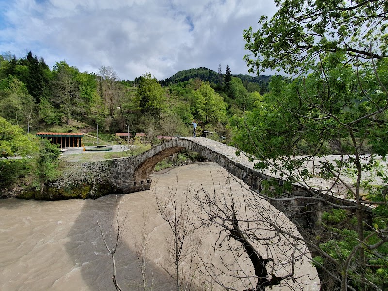 Dandalo Bridge - Dandalo Bridge, J4W5+J3Q, Jalabashvilebi, Georgia