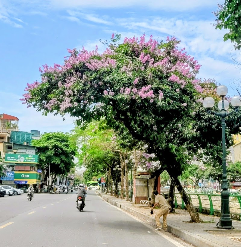 Kim ngưu - Kim ngưu 57 P. Kim Ngưu, Vĩnh Tuy, Hà Nội, Vietnam