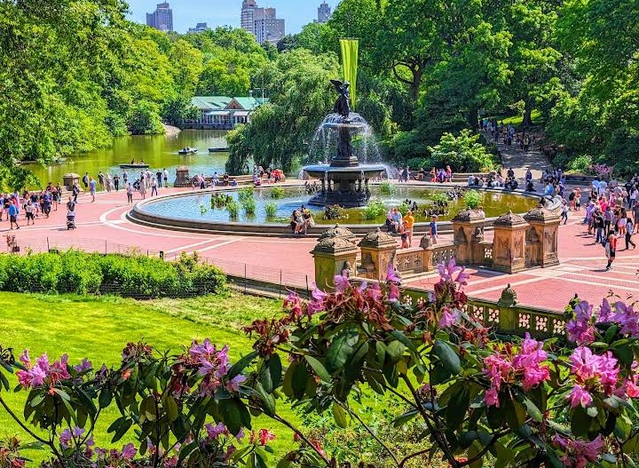 Central Park - Central Park New York, NY, USA
