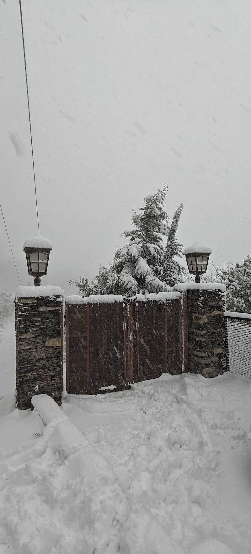The Bugyal Kanatal - The Bugyal Kanatal, 1 km, off Chamba - Mussoorie Road, Kanatal, Kaudia Range, Uttarakhand 249145, India