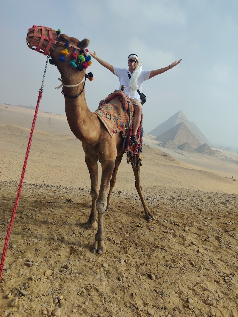 Memphis Tours - Memphis Tours, 24 Mourad, Oula, Al Giza, Giza Governorate 12211, Egypt