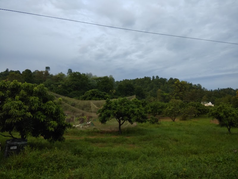 Jim Corbett Jeep Safari Booking - Jim Corbett Jeep Safari Booking Jhirna Gate Road Himmatpur Dotiyal, Dhela Rd, Sawal Deh East, Sewal Khaliya, Uttarakhand 244715, India
