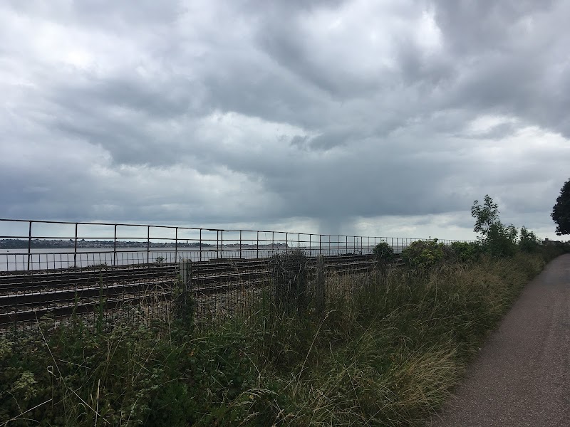 River Exe - River Exe, United Kingdom