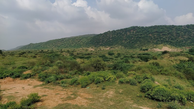 Bawdi Deep Water Step Well - Bawdi Deep Water Step Well X9XM+W4J, Road, near Vrindavan International Public School, Neemrana, Naghori, Rajasthan 301705, India