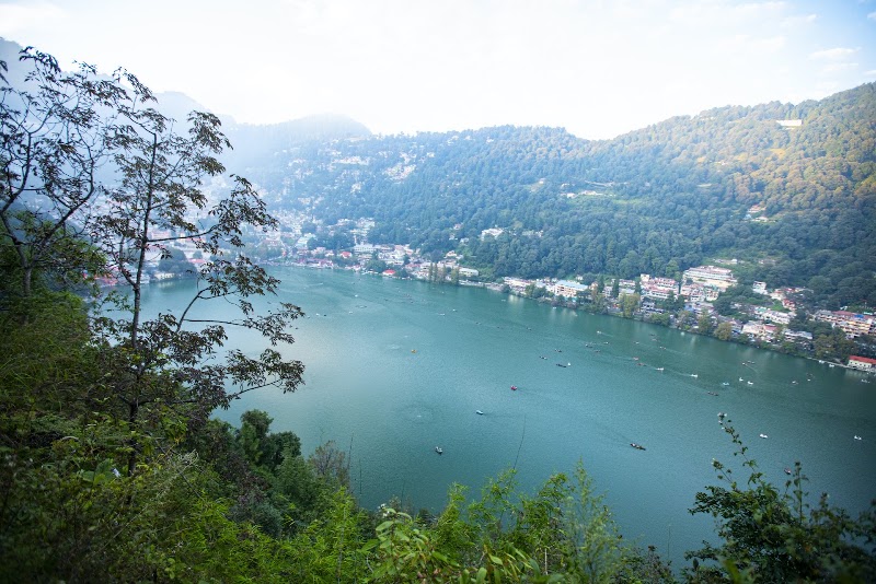 The Hive Cottage - The Hive Cottage, Ayarpatta, Nainital, Uttarakhand 263001, India