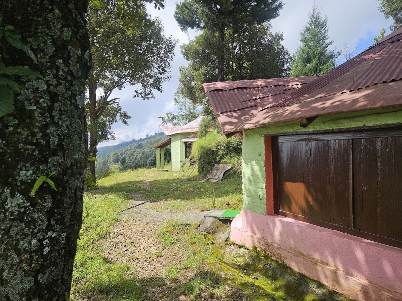 Joshi Guest House, Kukuchhina - Joshi Guest House, Kukuchhina, Near Mahavatar Babaji Cave, Kukuchina, Dunagiri, Joshi Guest House, near Babaji Cave, Kukuchina, Dwarahat Range, Uttarakhand 263653, India