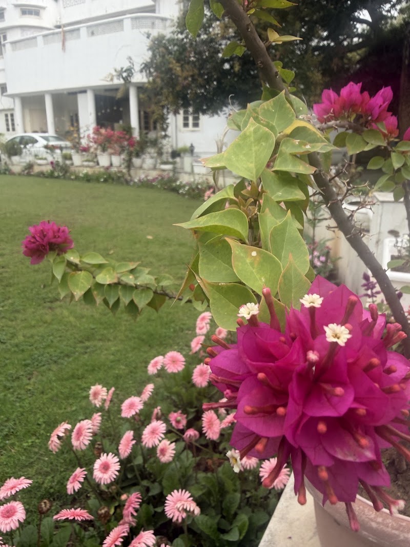 Heritage Homestay - Heritage Homestay Charan Villa,Jail Road,Amphalla, Ambphalla, Jammu, 180005