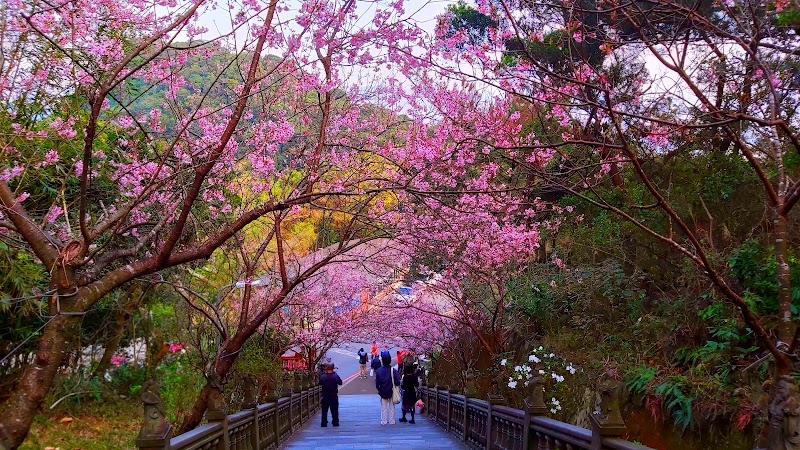 碧山巖觀景台 - 碧山巖觀景台 No. 24號, Bishan Rd, Bishan Village, Neihu District, Taipei City, Taiwan 114